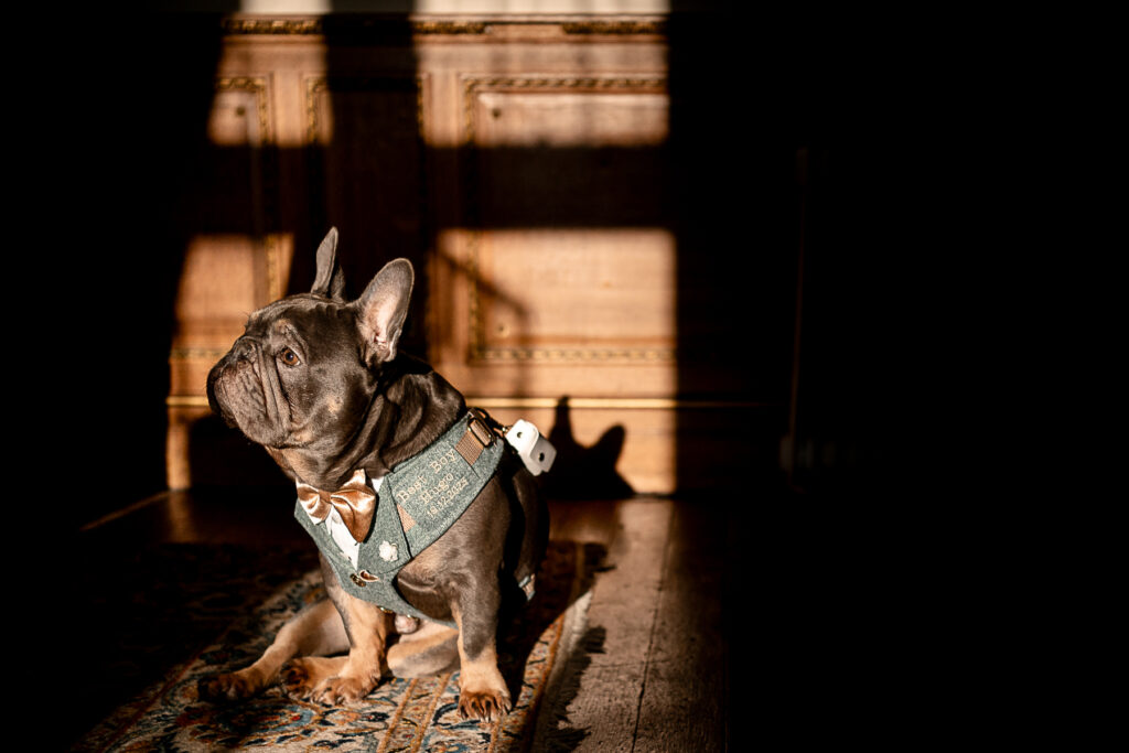 best wedding photographs of 2025 by Hampshire wedding photographer Martin Bell Photography